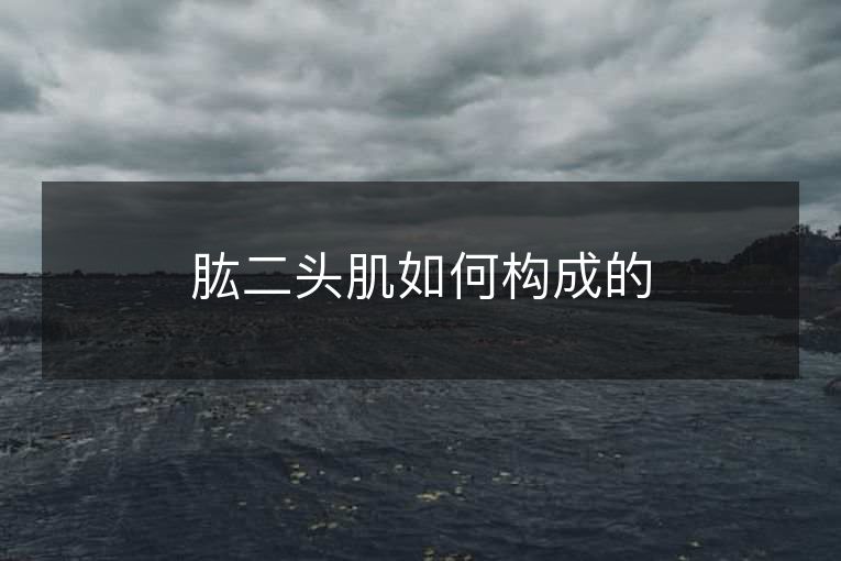 肱二头肌如何构成的 肱二头肌如何构成的